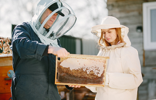 FRESH ORIGINAL HONEY